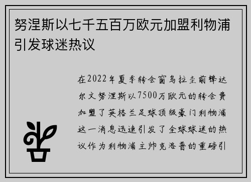 努涅斯以七千五百万欧元加盟利物浦引发球迷热议 努涅斯以七千五百万欧元加盟利物浦引发球迷热议